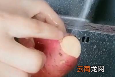 电饭锅怎样蒸红薯，电饭煲蒸红薯的方法窍门