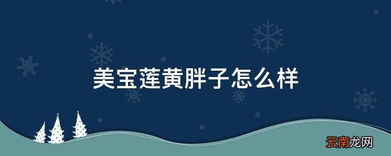 美宝莲黄胖子怎么样