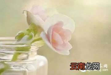 一切皆为过往，快乐才是人生