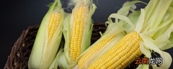 玉米煮多久会熟 玉米煮熟需要多久