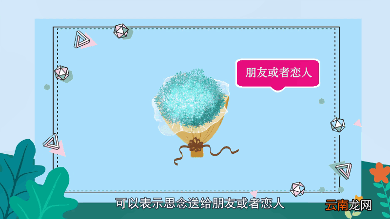 满天星的花语 满天星的花语是什么