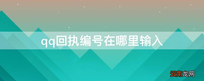 qq回执编号在哪里输入2022 qq回执编号在哪里输入