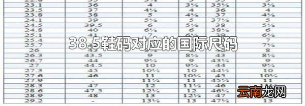 38.5鞋码对应的国际尺码