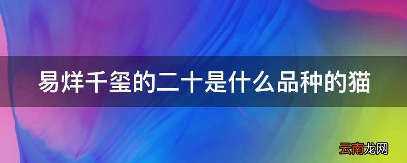 易烊千玺的二十是什么品种的猫