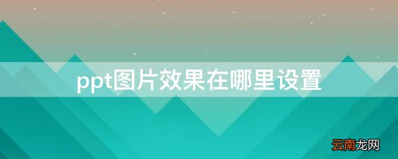 ppt图片效果在哪里设置 ppt中图片效果在哪