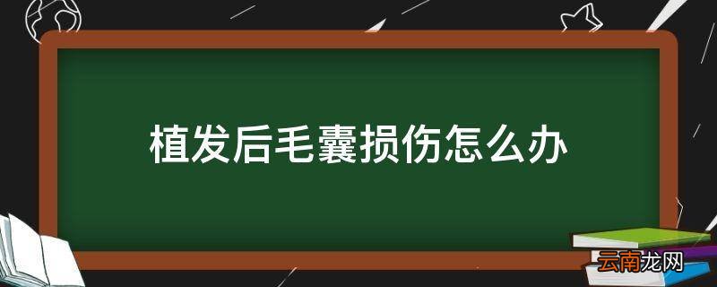 植发后毛囊损伤怎么办
