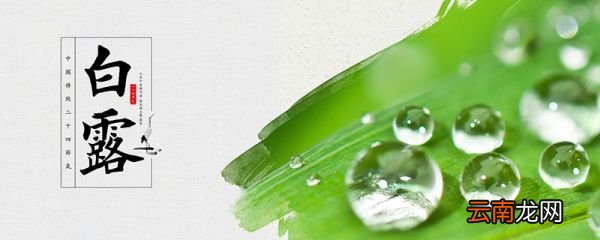 秋分前后的节气是什么 秋分前后的节气的特点