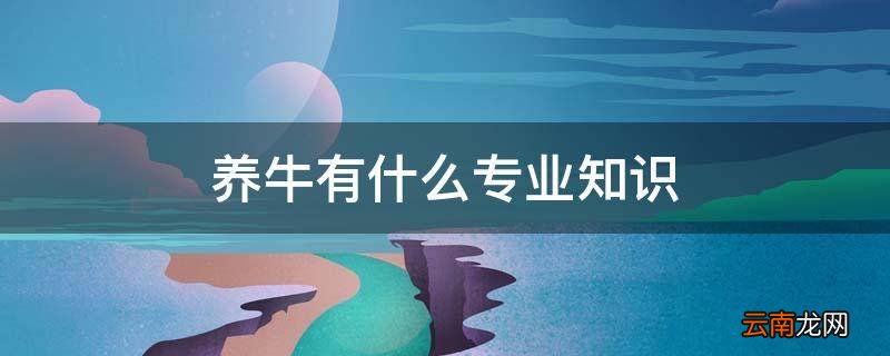 养牛有什么专业知识