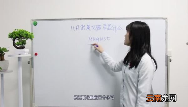 八月的英文缩写是什么 八月的英文缩写怎么写