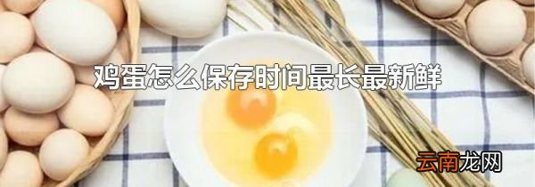 鸡蛋怎么保存时间最长最新鲜