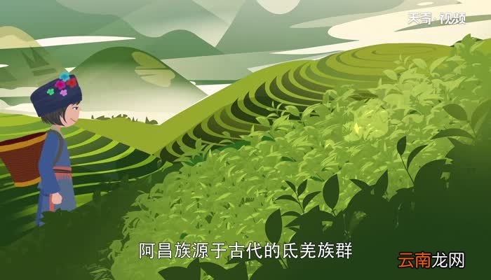 耍白象是哪个民族的节日 耍白象是什么族的节日