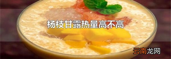 杨枝甘露热量高不高
