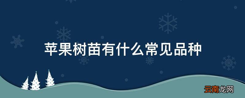 苹果树苗有什么常见品种