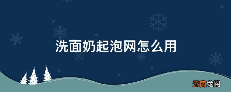 洗面奶起泡网怎么用