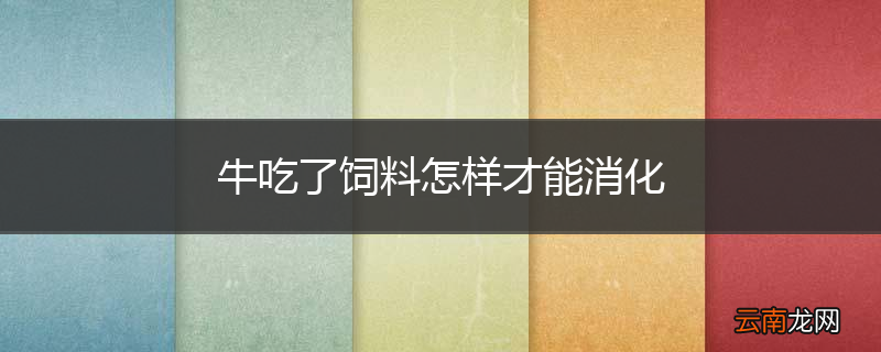 牛吃了饲料怎样才能消化