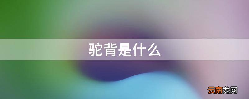 驼背是什么