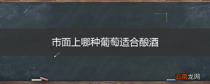 市面上哪种葡萄适合酿酒