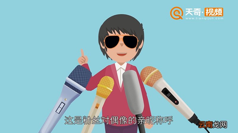 爱豆是什么意思