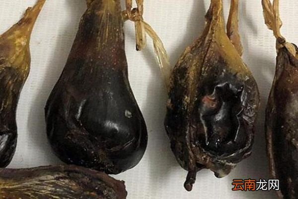 猪胆汁的功效与作用 猪胆汁的功效与作用及禁忌