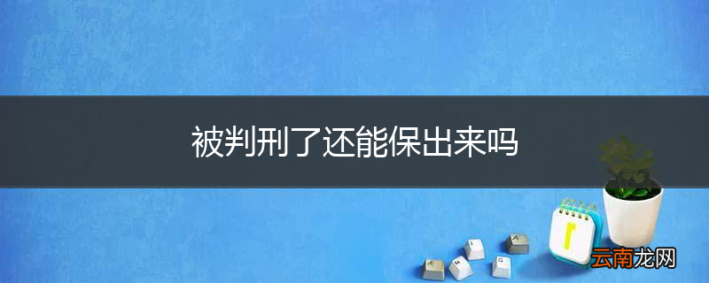 被判刑了还能保出来吗