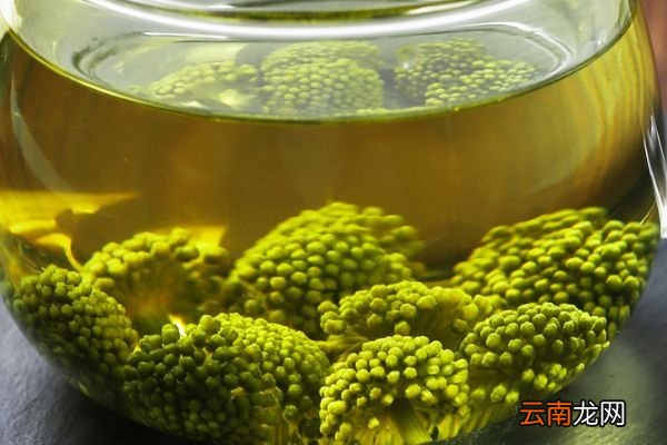 田七花的功效与作用 田七花的好处