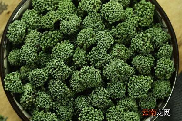 田七花的功效与作用 田七花的好处