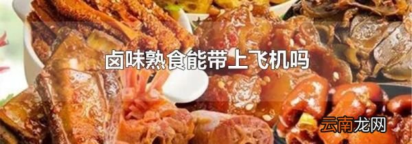 卤味熟食能带上飞机吗