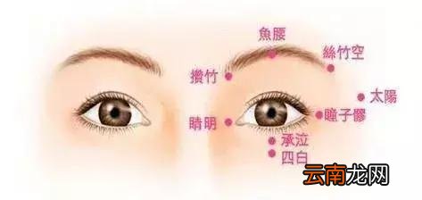 每个人身上都有8个“养生窝”，不吃药、不花钱，按一按更长寿！