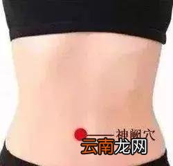 每个人身上都有8个“养生窝”，不吃药、不花钱，按一按更长寿！