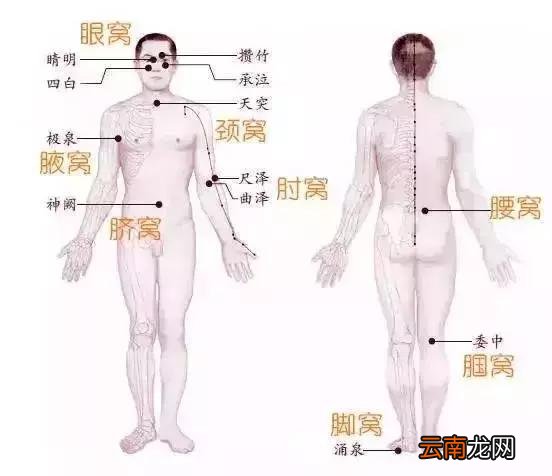 每个人身上都有8个“养生窝”，不吃药、不花钱，按一按更长寿！