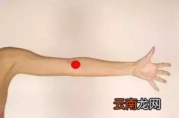 每个人身上都有8个“养生窝”，不吃药、不花钱，按一按更长寿！