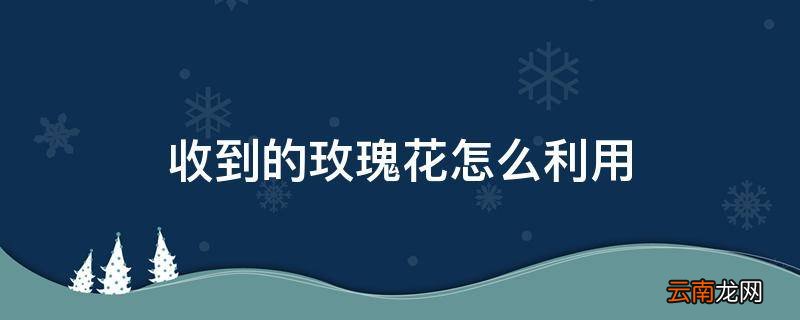 收到的玫瑰花怎么利用