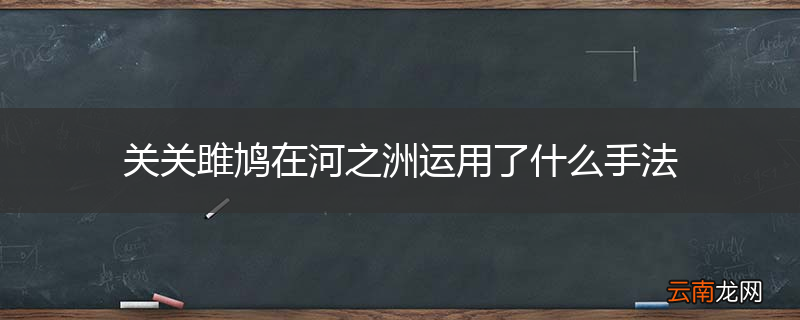 关关雎鸠在河之洲运用了什么手法