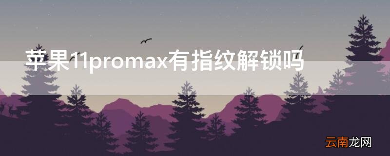 iphone12promax有指纹解锁吗 iPhone11promax有指纹解锁吗