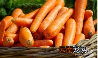 胡萝卜的营养价值及功效,胡萝卜的营养价值 简单点