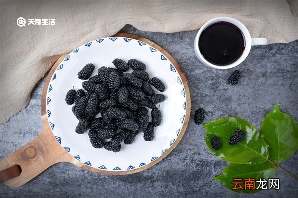 桑果汁的功效与作用 桑果汁的功效与作用有哪些