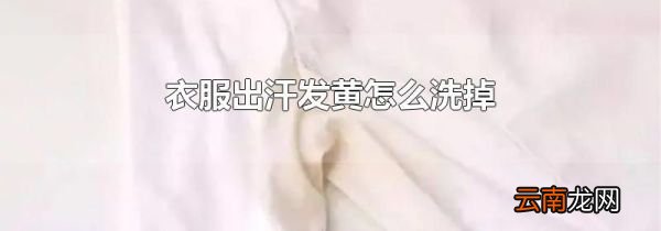 衣服出汗发黄怎么洗掉