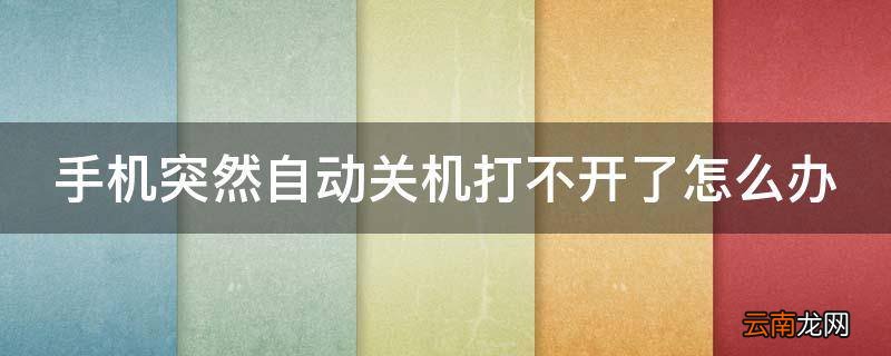 手机突然自动关机打不开了怎么办