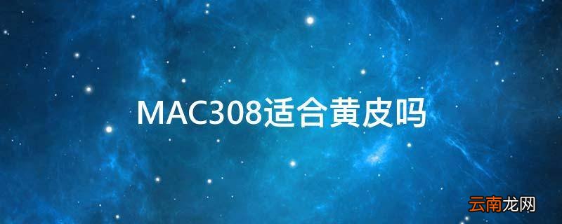 MAC308适合黄皮吗