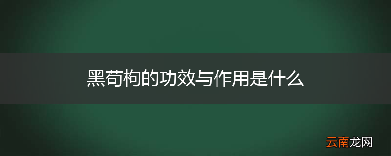 黑苟枸的功效与作用是什么