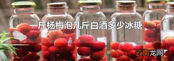 一斤杨梅泡几斤白酒多少冰糖