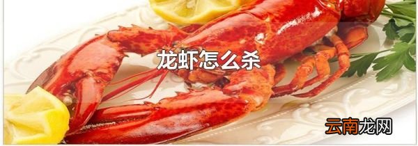 龙虾怎么杀