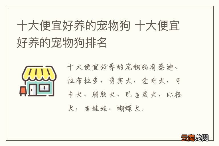 十大便宜好养的宠物狗 十大便宜好养的宠物狗排名