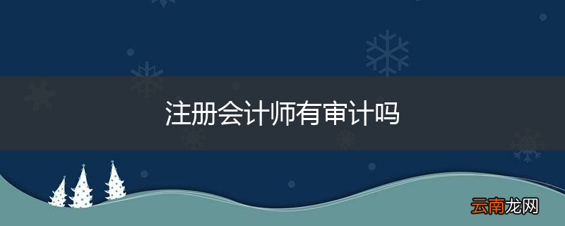 注册会计师有审计吗
