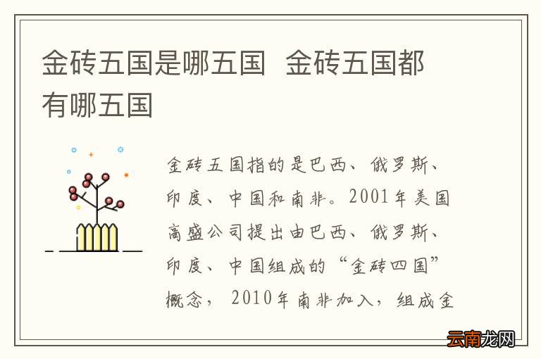 金砖五国是哪五国金砖五国都有哪五国