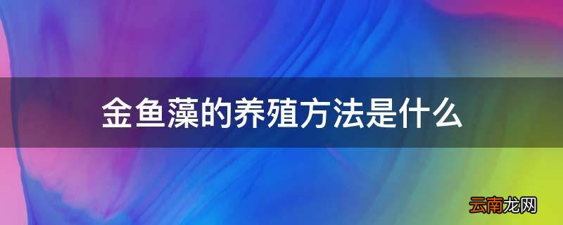 金鱼藻的养殖方法是什么