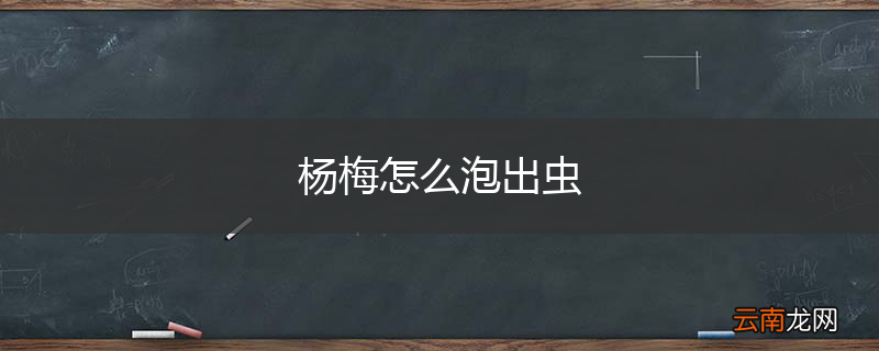 杨梅怎么泡出虫