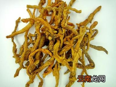 孕妇吃玉竹怎么样 帮助降低血糖