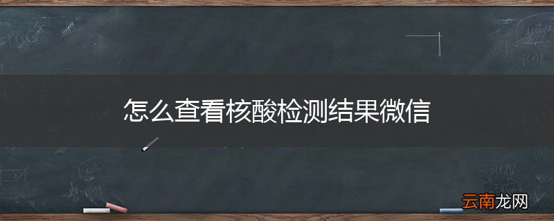 怎么查看核酸检测结果微信