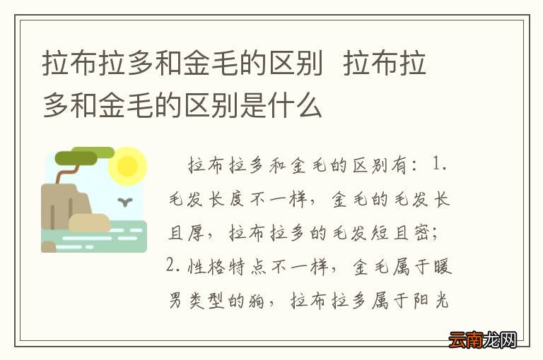 拉布拉多和金毛的区别拉布拉多和金毛的区别是什么